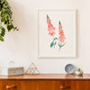 Foxgloves Print