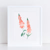 Foxgloves Print