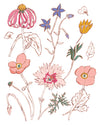 Botanical Study - Fine Art Print