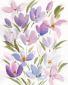Crocus - Fine Art Print
