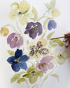 Hellebores - Fine Art Print