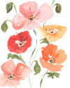 Icelandic Poppies - Fine Art Print