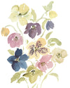Hellebores - Fine Art Print