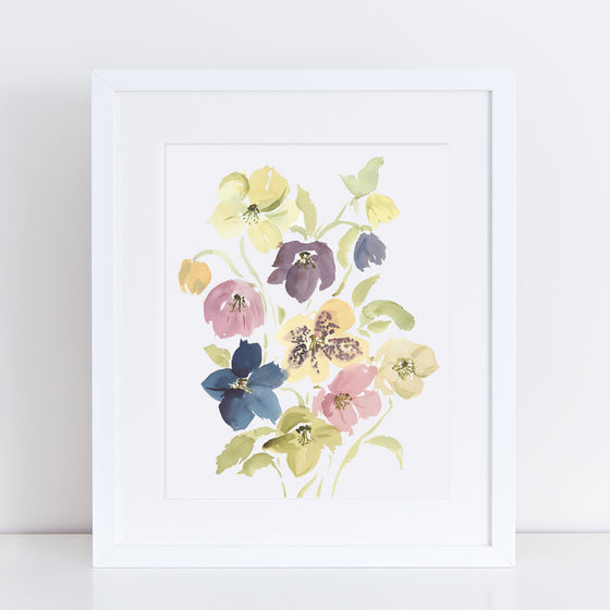 Hellebores - Fine Art Print