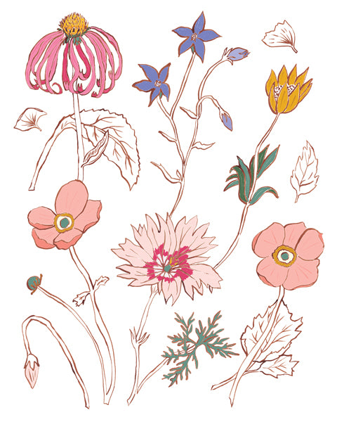 Botanical Study - Fine Art Print