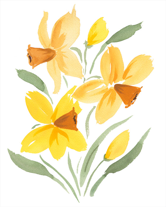 Daffodils - Fine Art Print